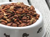 supplier of various pet