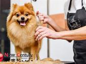 pet grooming st kilda