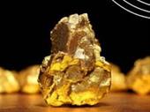 gold mining company north