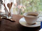 cafe for sale sydney