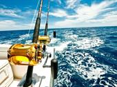 celebrated high performance offshore