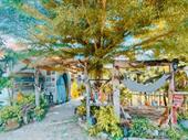 operational boutique wellness retreat