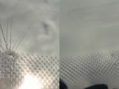 award-winning mobile glass repair