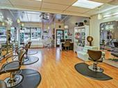 established hair salon michigan