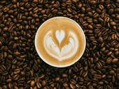 cafe for sale