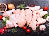 5 days poultry vermont
