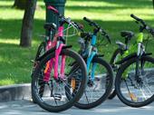 award-winning bicycle retailer proven