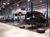 established successful tire auto