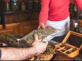 one-stop shop for wellness