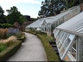 25+ year greenhouse operation