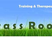 provider of therapeutic occupational