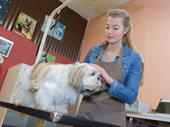 innovator pet health technology