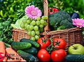 fruit veg florist ringwood