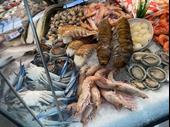 straight fresh fish excellent