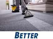 carpet cleaning pest control