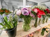 florist retail online florist
