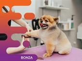 35061 thriving dog grooming