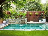 established landscape services
