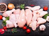 poultry shop--craigieburn--1p9863 for sale