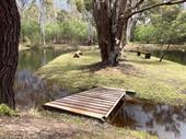 grampians getaway 40 acres