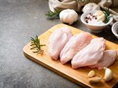 well established modern poultry