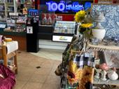 established profitable newsagency prime