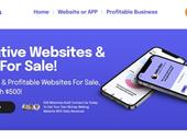 established online business 15