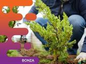35201 highly profitable growing