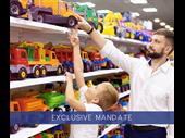 profitable retail toy business