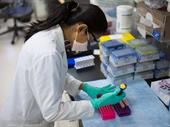 contract research testing services