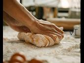 investment a food production