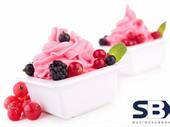 takeaway yogurt franchise takeaway