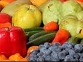 straight fruit veg excellent