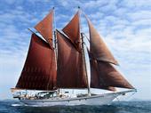 yacht charter company south