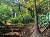 one-of-a-kind hillside retreat pretoria