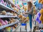 exciting dropship pet products