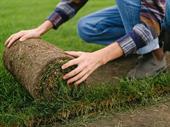 professional artificial landscape turf