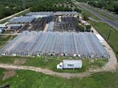 income producing plant nursery