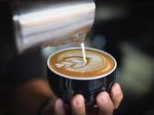 exceptional café opportunity a