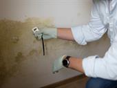 profitable restoration business serving