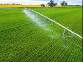 thriving essential water irrigation