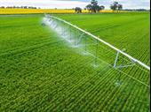 thriving essential water irrigation