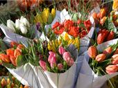 turnkey high-end florist with