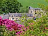 bed breakfast 6 rooms