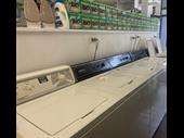 laundromat sydney city fringe