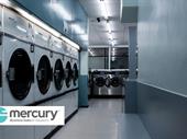new profitable laundry for