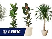 ecommerce plant business scalable