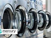 established 5-year coin laundry
