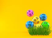 lotto groceries sub-news for