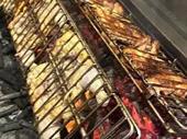 established charcoal chicken kebabs